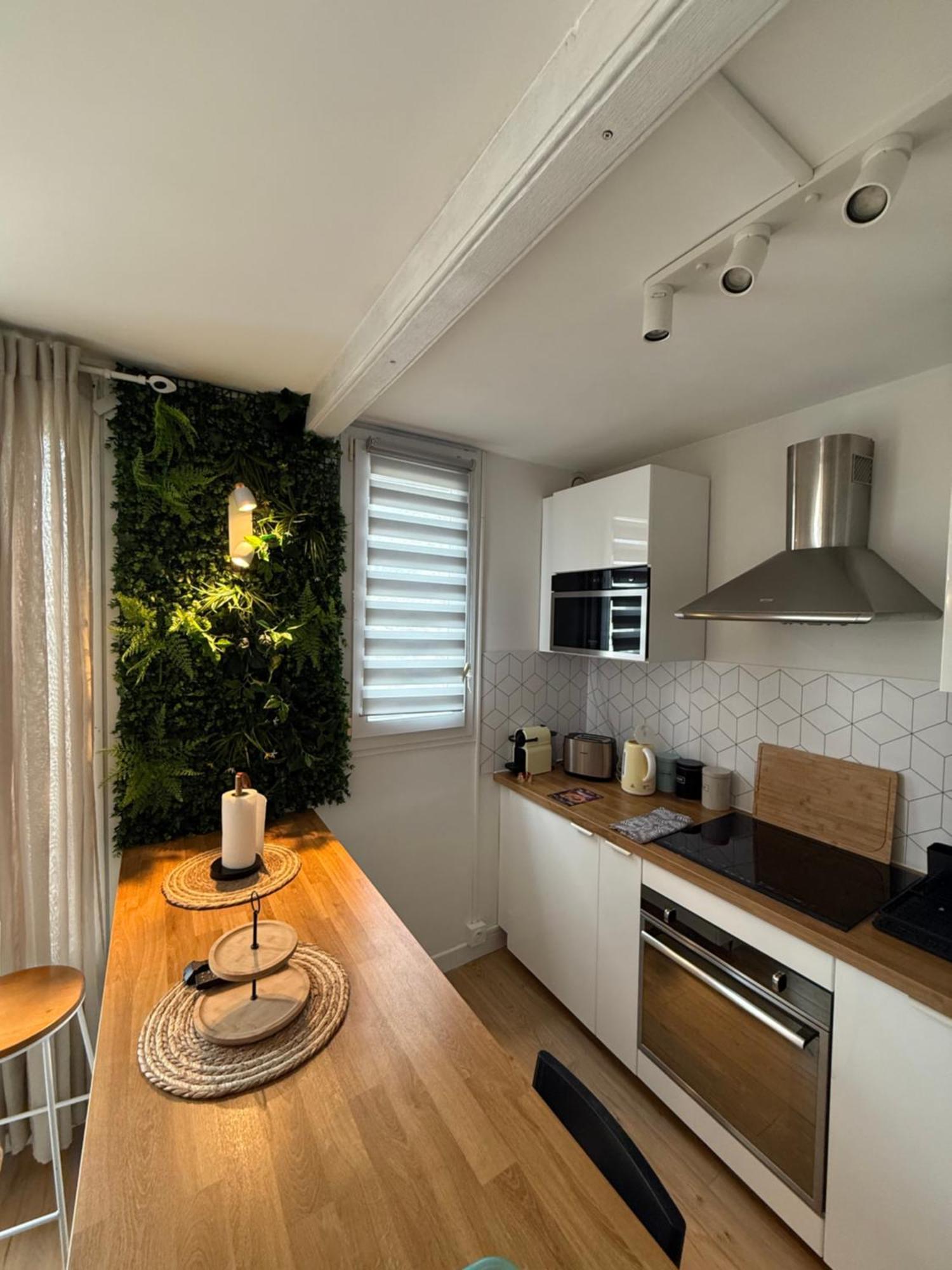 Superbe Duplex Avec Parking Gratuit Διαμέρισμα Γκρενόμπλ Εξωτερικό φωτογραφία